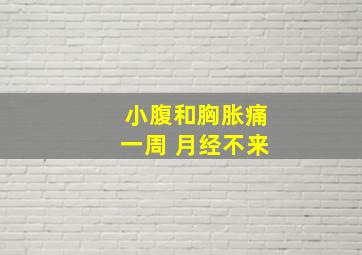 小腹和胸胀痛一周 月经不来